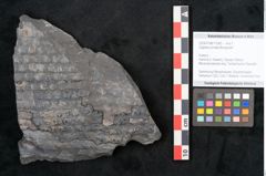 Foto (Objekt + Etikett) von Sigillaria ornata Brongniart (NHMW-GEO-2024-0188-11082)